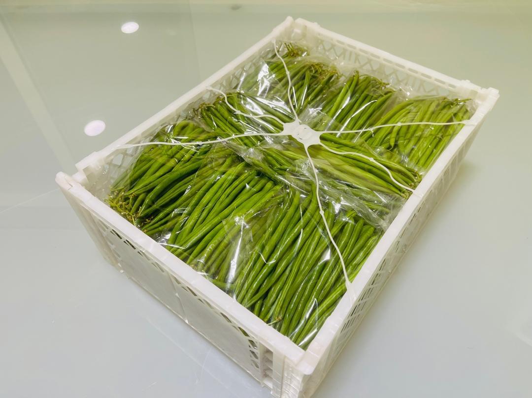 French beans packed in a field crate